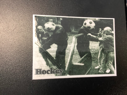 Hockey skateboards soccer ball head photo sticker